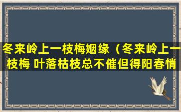 冬来岭上一枝梅姻缘（冬来岭上一枝梅 叶落枯枝总不催但得阳春悄急止）